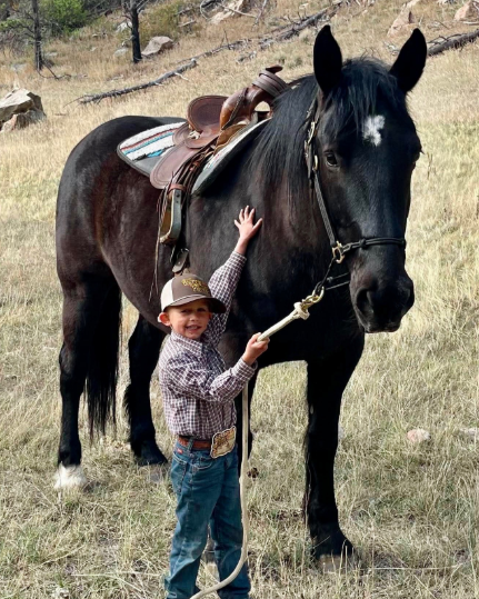 Hayes Hamaker Death, Obituary: Cowboy Remembered in Laramie, Wyoming After Celebration of Life Service